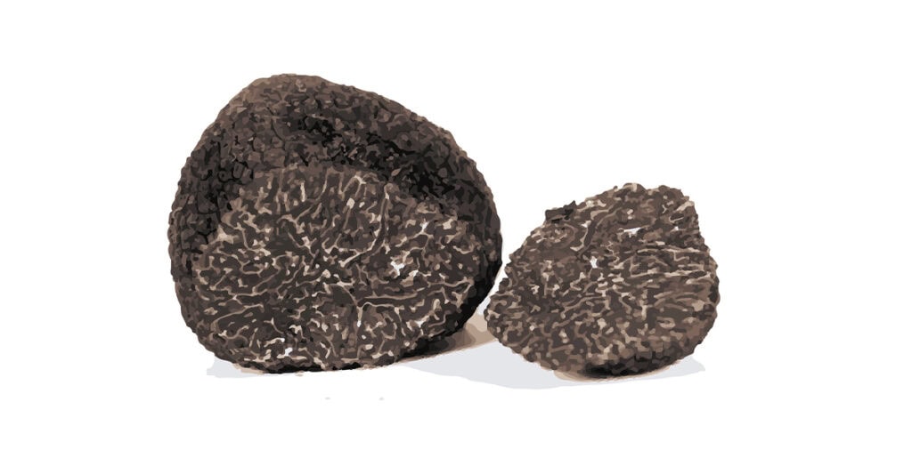 Svart tryffel
Tuber melanosporum