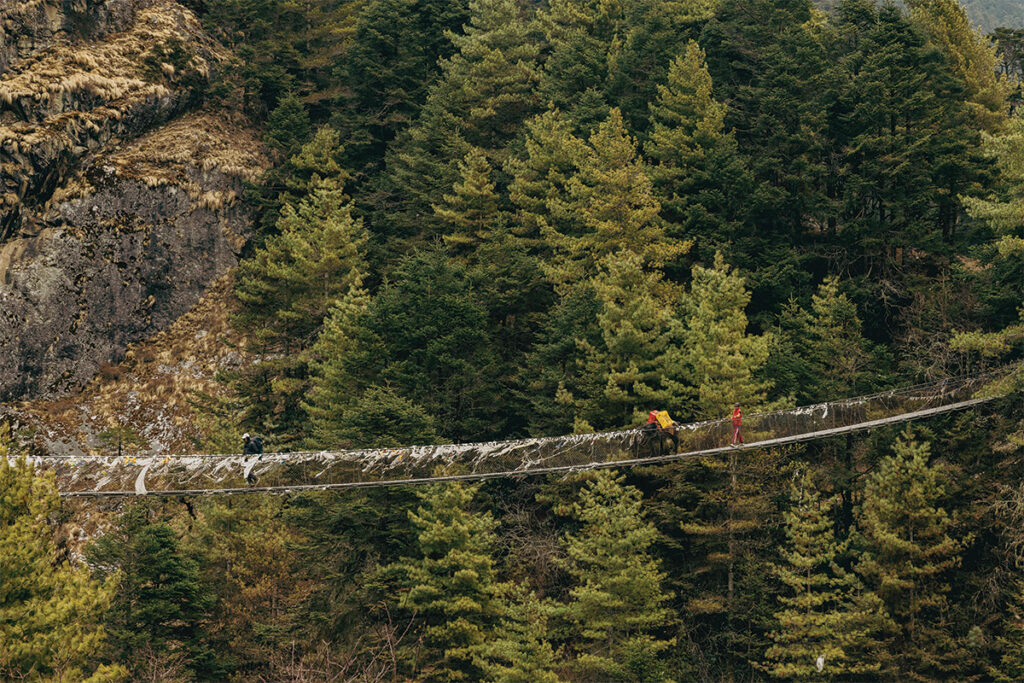 Hillary-Suspension-Bridge 