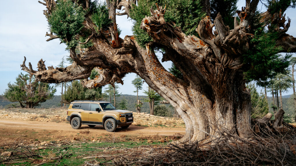 Toyota Land Cruiser 250